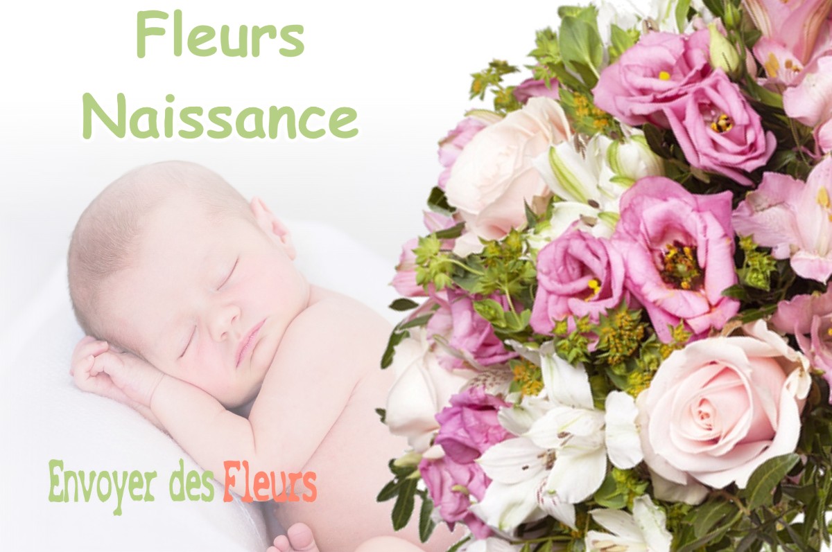 lIVRAISON FLEURS NAISSANCE à SAINT-ROMAIN-DE-JALIONAS